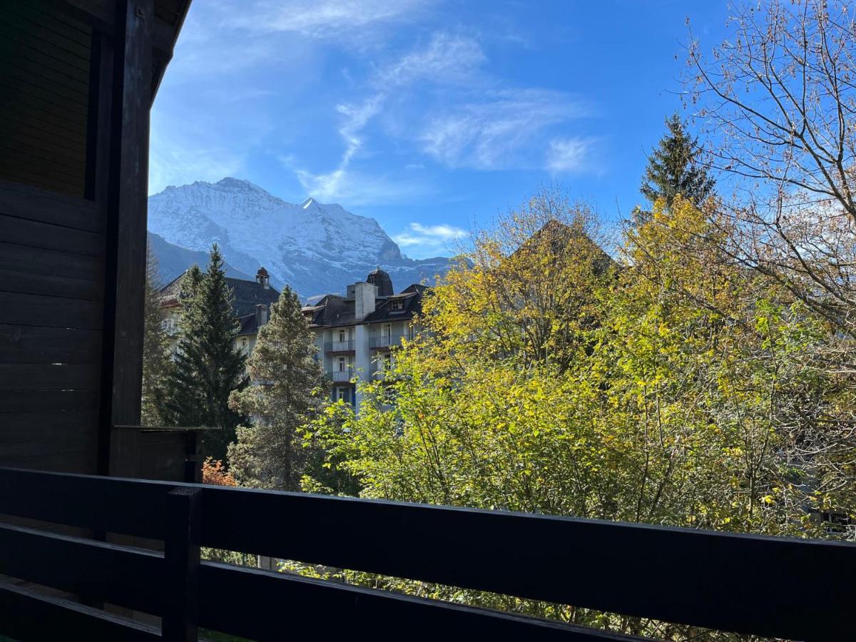 Im Gruebi Apartment Wengen
